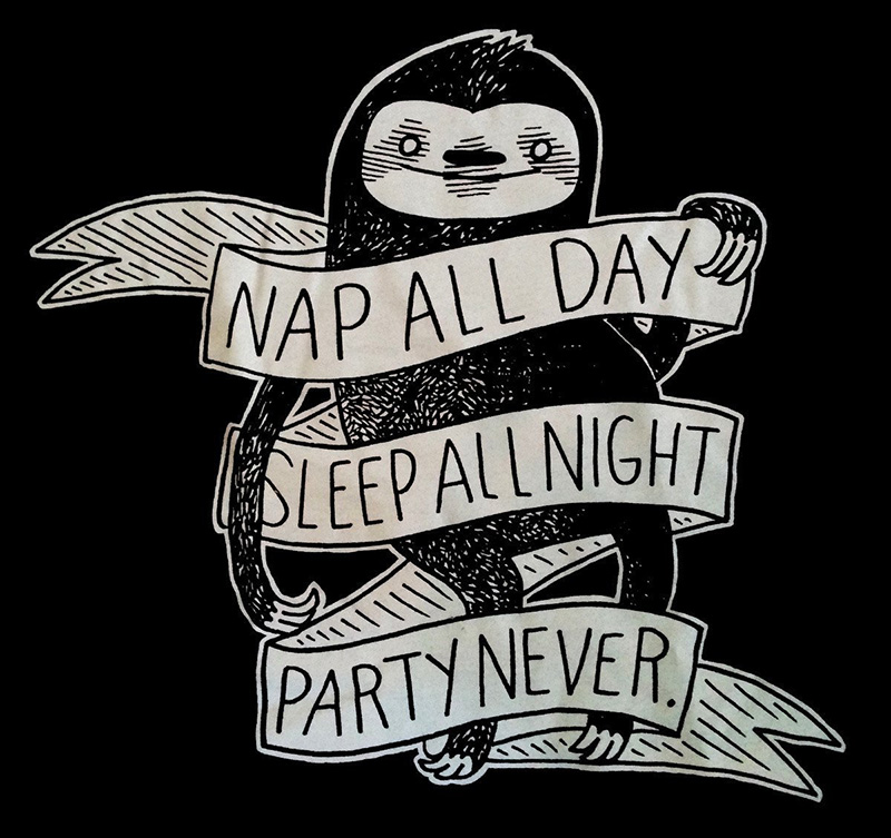 Sticker: Nap All Day Sleep All Night Party Never Sloth - by Nation Of –  Silver Sprocket